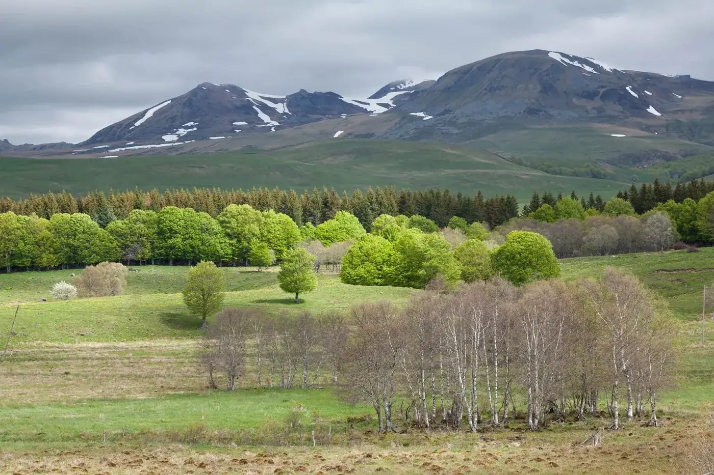 Explore the lush green landscapes of Mont-Dore, Auvergne with vibrant trees and distant hill views.