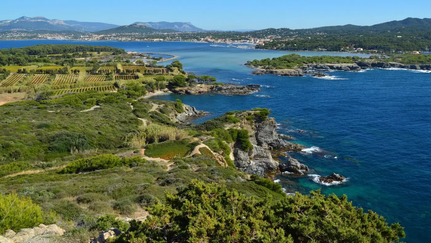 Explore a stunning coastal view featuring lush greenery, rocky shores, and blue ocean waters.