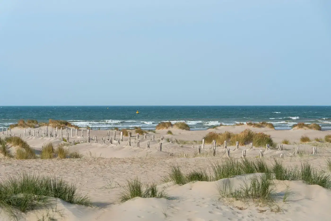Peaceful sandy beach with dune grasses at Dunkerque, France, under blue sky.