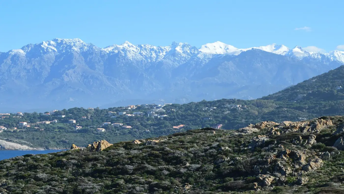 Calvi