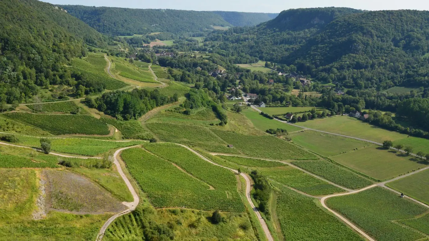 Aerial view of lush vineyards in Château-Chalon, Bourgogne-Franche-Comté, France.