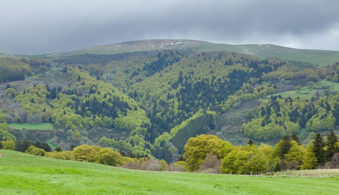 Explore the lush green hills of Massif Central in this vibrant spring landscape photo.