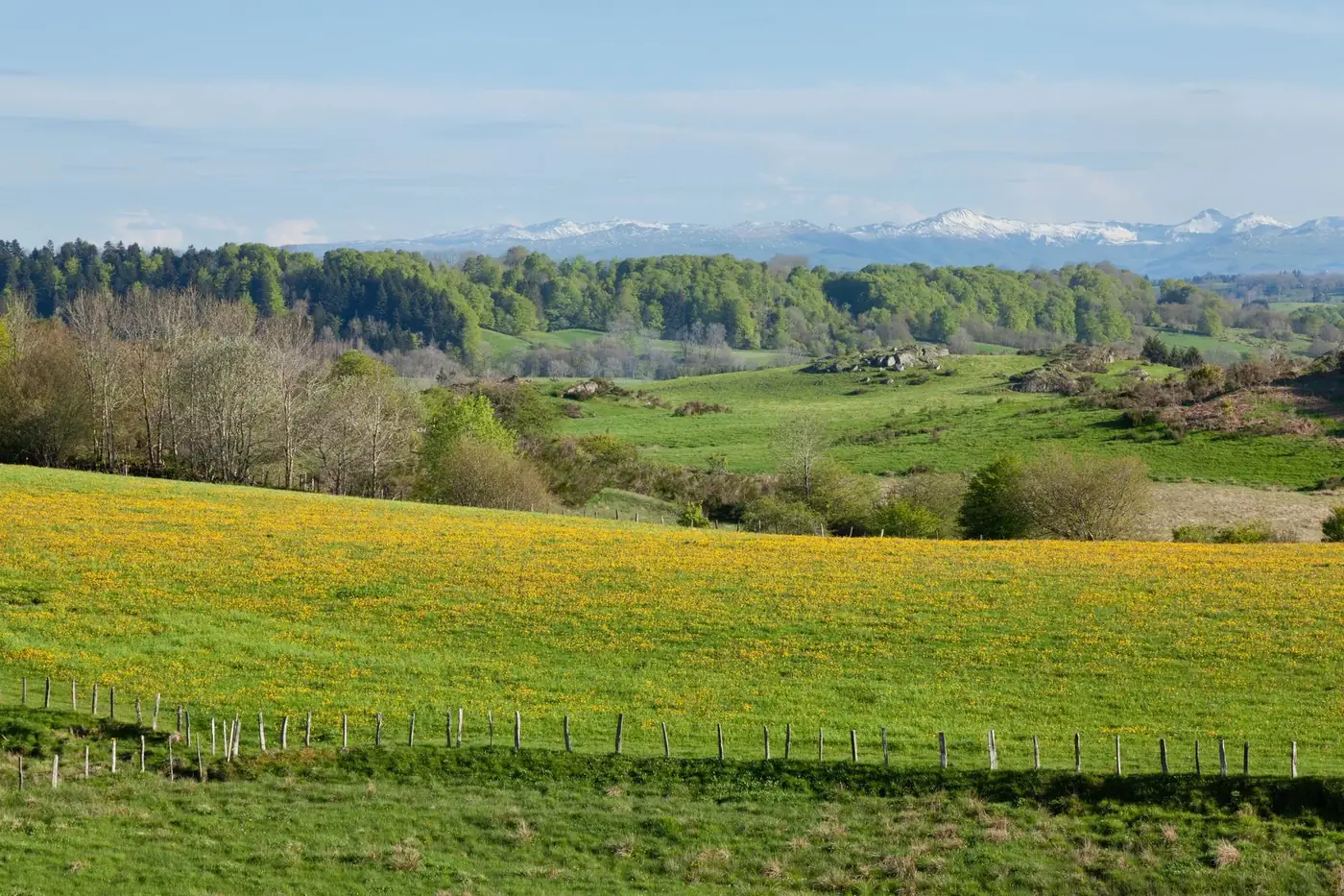 Beautiful landscape of Mont-Dore, France, with lush greenery, wildflowers, and distant mountains.