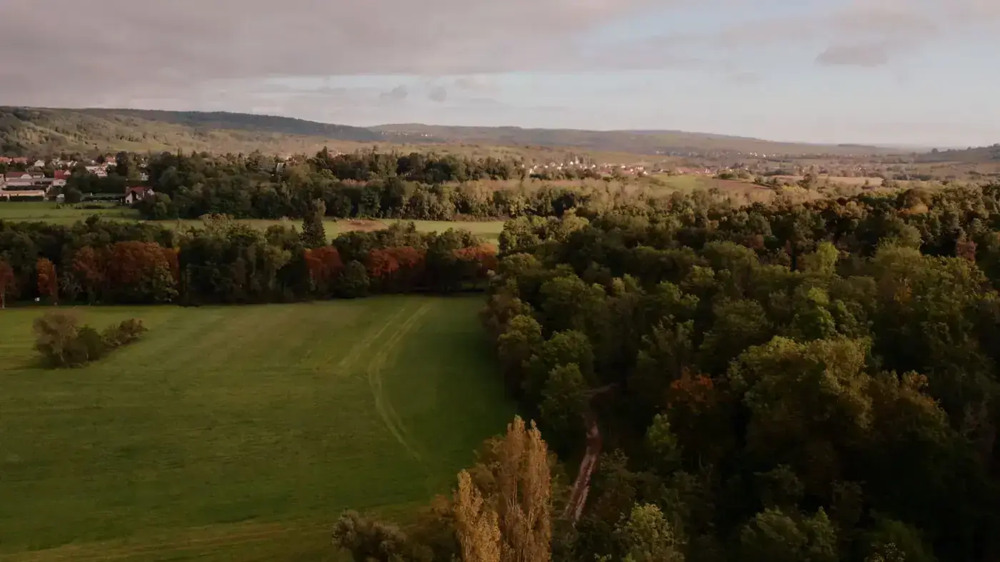 Captivating aerial view of a lush forest landscape in Grand Est, France, showcasing vivid greenery and serene natural be