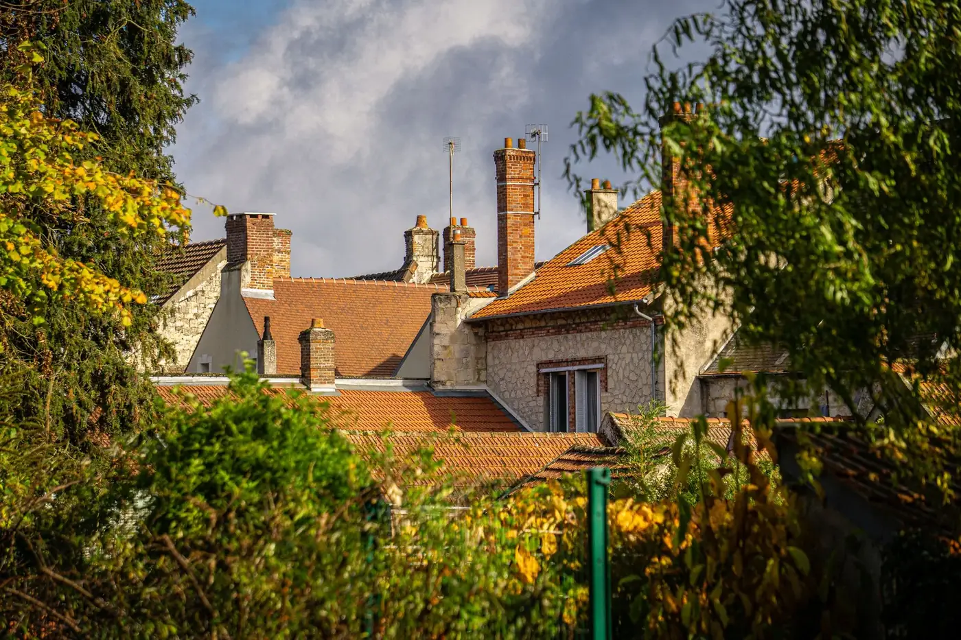 Picturesque view of traditional rooftops in La Ferté-Milon, France with lush greenery.