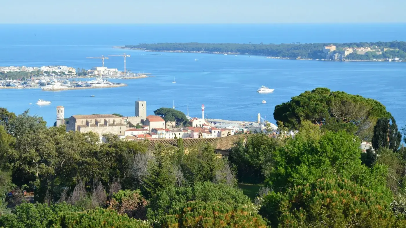 Panoramic view of Cannes with lush greenery and a clear blue sea.