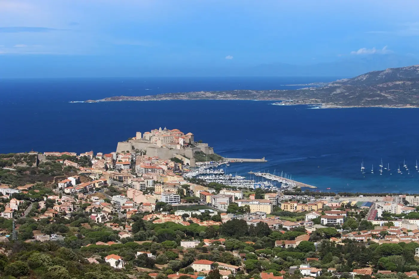 From above of coastal town located on coast among green trees near blue ocean in harbor in nature in sunlight