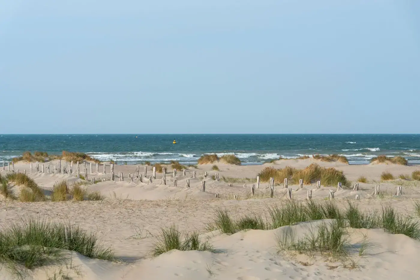 Peaceful sandy beach with dune grasses at Dunkerque, France, under blue sky.