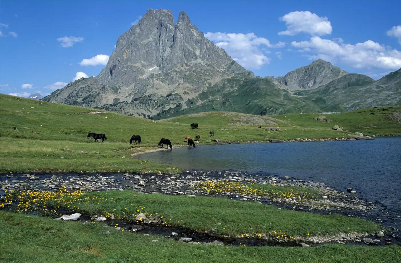 Stunning view of Lac Gentau with horses and Pic du Midi d'Ossau in the French Pyrenees.