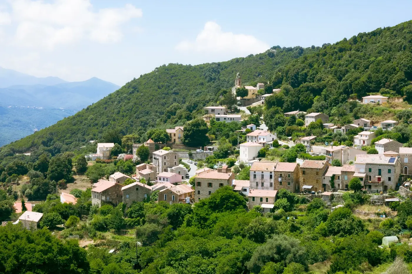 Charming hillside view of Ajaccio village surrounded by lush greenery on a sunny day.