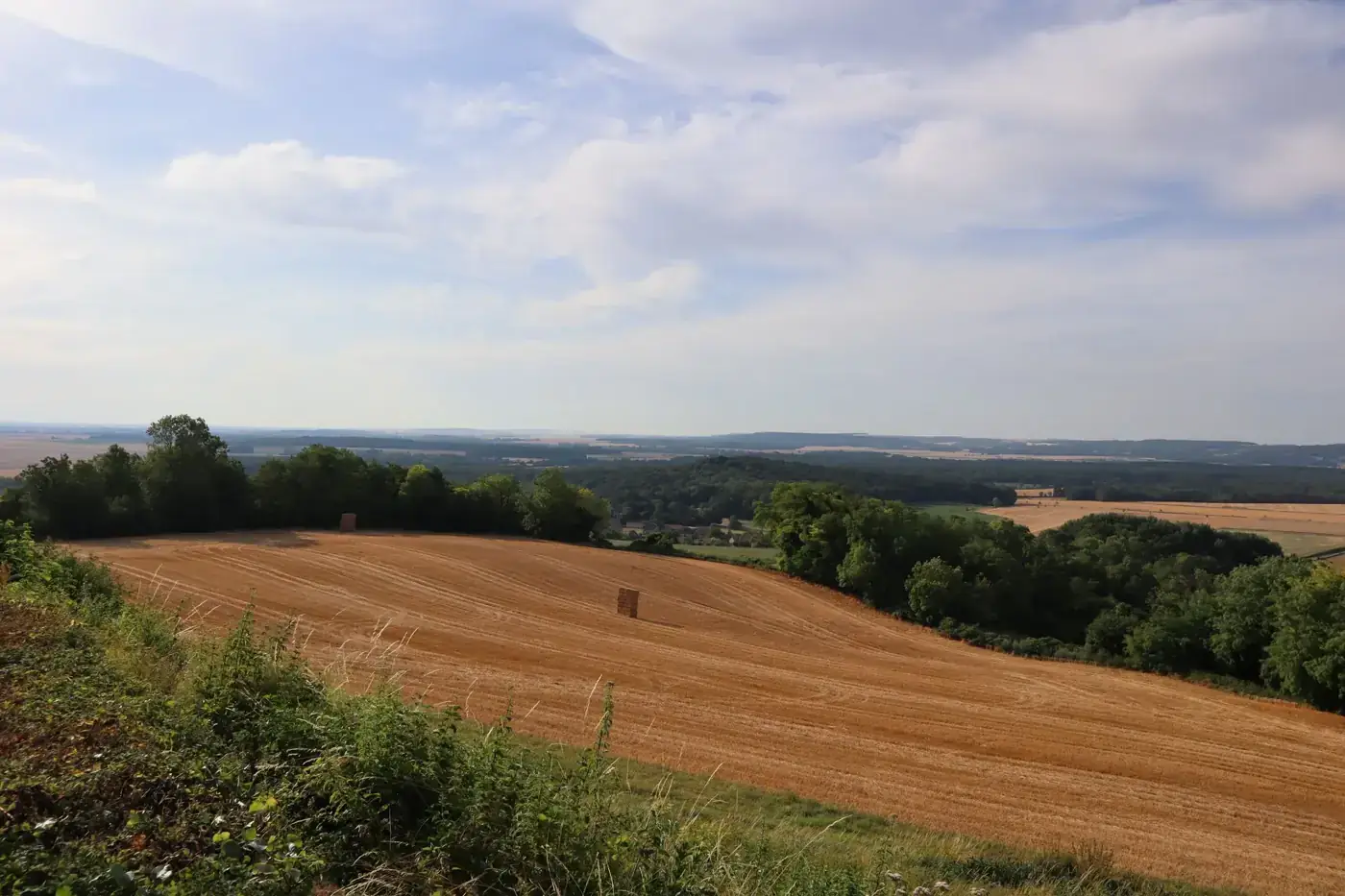 A serene summer landscape features a harvested wheat field under a calm sky.