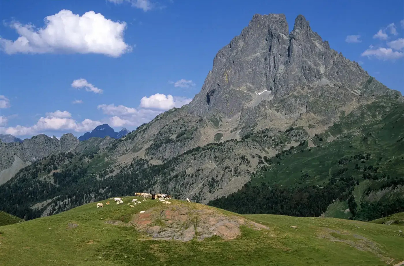 Breathtaking summer landscape of Pic du Midi d'Ossau with grazing cattle in Laruns, France.
