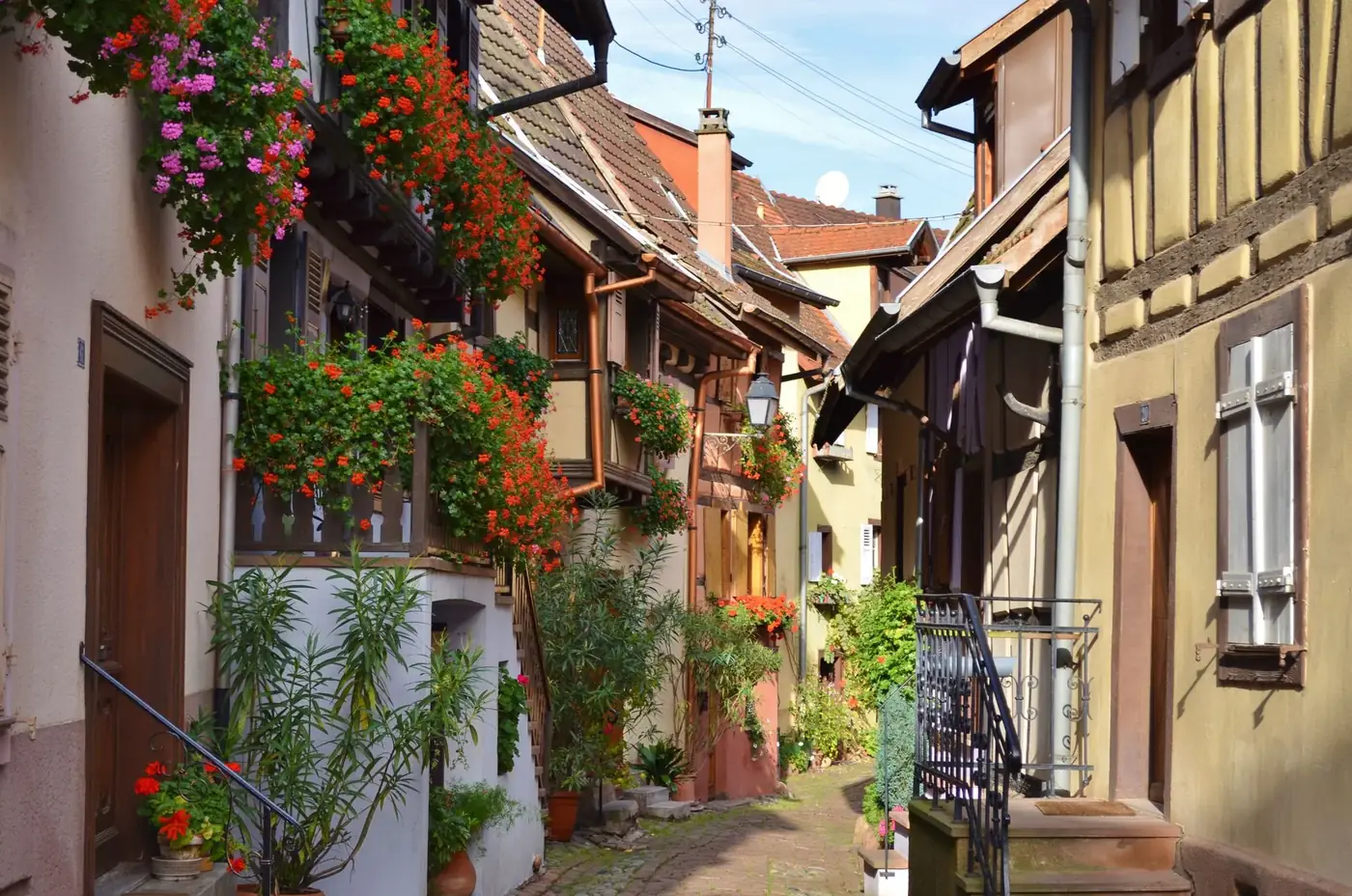 Picturesque street in Alsace, France, showcasing traditional architecture and vibrant floral displays.